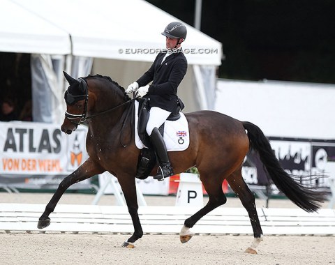 British Gregory Sims on his own and Stine Hoerner's Oldenburg bred Waverley Fellini (by Furstenball x Sandro Hit)