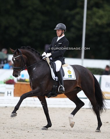 Swedish Jacob Norby Sorensen on the Swedish mare First Lady VH (by Furstenball x Cashmir). 