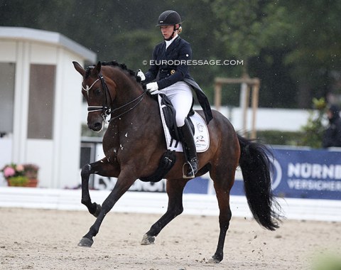 Nicole Wego on her homebred Rhinelander mare Quiana. Lovely horse by Quaterstrn x Rubinstern Noir