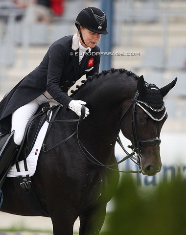 Susan Pape pats Harmony sporthorses' Dutch bred Eclectisch (by Zenon)