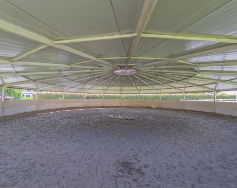 Covered lunging ring