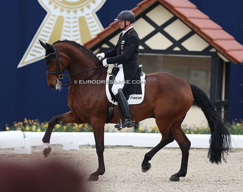 Hubertus Schmidt on Beryll (by Benetton Dream x Weltmeyer), a horse he discovered in a clinic in the USA and bought for himself