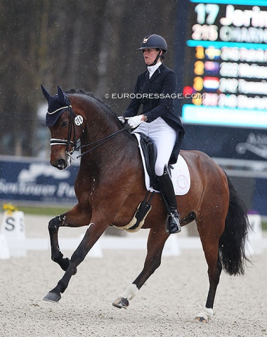 Jorinde Verwimp with her new Grand Prix horse Charmer