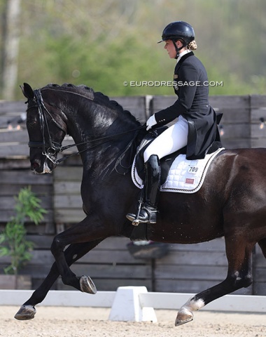 Swedish Elin Aspnas came full force to Sint-Truiden with two horses of her own to ride (here Grand Charmeur (by Charmeur x Ferro) as well as a full stable of students in the youth classes