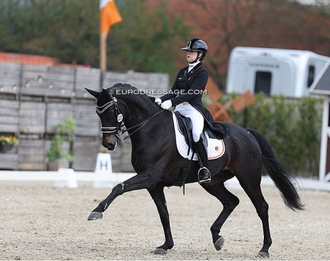 International young rider debut for Katelijne Maes on Ibou van de Kapelhoef (by Lord Loxley x Faveur)