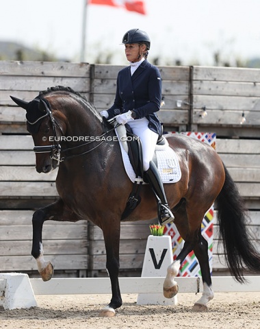 Look Who's Back ! Gerdine Maree on a new Grand Prix horse, Holiday (by Dream Boy x Michelangelo). After an 8 (!!) year break from the international show ring, Maree has a new talented horse to ride. For Holiday it was all a bit too much