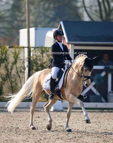 Paula Schiebener on Global Player AT (by HET Golden Dream x Don Pepone)