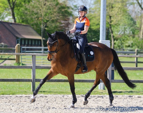 Holland’s Tokyo bronze medalist in grade III, Rixt van der Horst, schooling her new horse, the Westfalian mare Akuna Matata (by Arpeggio-Lanciano).