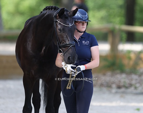Maddy Frewin with Blue Hors Dexter