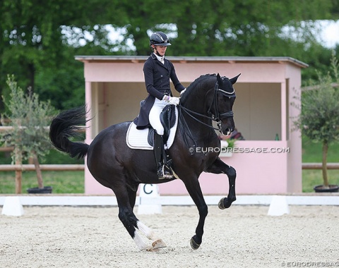 Philine Brunner and Straight Horse Don Tamino (by Totilas x Don Schufro)