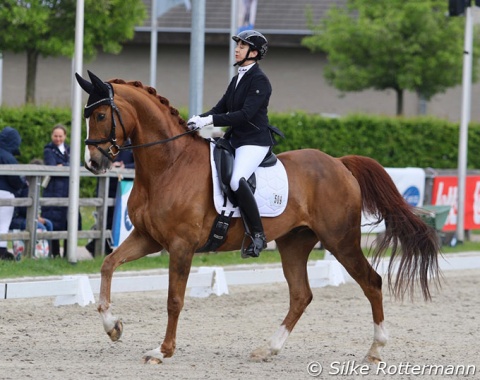 German Angela Scharpff and her 6-year-old Westfalian Sir Conhos debuted internationally in Grade V in Waregem and very narrowly missed the freestyle final. 