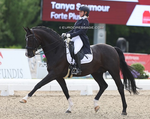 South Africa's Tanya Seymour is back in the Grand Prix arena with a new horse, Forte Plus (by Furst Romancier x Peralta Pinha)