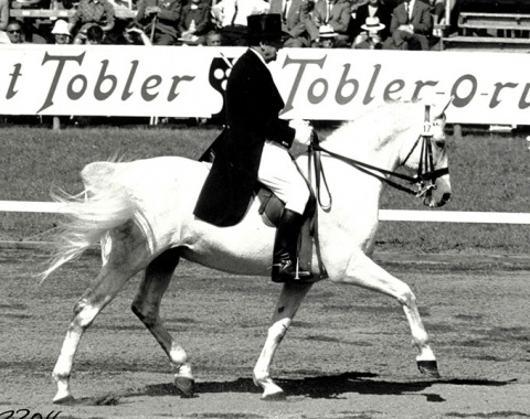 Swiss Willy Grundbacher and his Hungarian bred gelding Harta von Budapest did not place highly, but were one of the country’s most popular appearances back then.