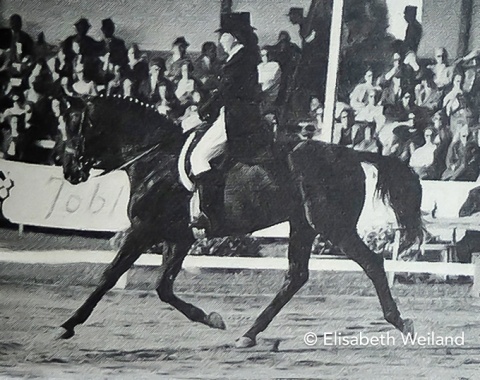First of three World championships for the Russian Trakehner Pepel and Elena Petushkova. Even though they only came 13th in Berne, their time came and four years later they  followed Neckermann and Mariano and won double gold at Aachen 1970.