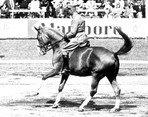 Hansruedi Thomi (with Mecca) was one of 6 Swiss riders in the Grand Prix, 4 of them were riders of the Berne Cavalry School were the event took place.