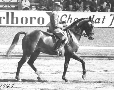 Switzerland’s Gottfried Trachsel, Olympic medalist back in the 1950s, was less lucky in 1966 when riding the thoroughbred Blendish xx as an individual rider.