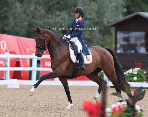 Shanna Baars on Farzana G (by Ampere x Florencio), one of several talented Amperes competing in Hartpury