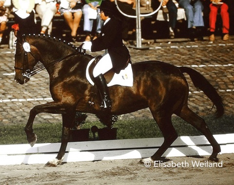 Dominique d’Esmé was one of three riders for France in the Grand Prix class. With her rather heavy Selle Francais mare Reims (who lived until the rip old age of 32) the Normandy based mainstay of the French team up the the late 1990s placed 17th.