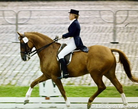 The 1970s were the time when Dutch riders slowly embarked at the international level. Marjolin Greeve and the Hanoverian Lucky Boy (by Der Löwe xx) were best members of the Dutch team and placed 23rd.