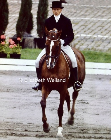 The elegant chestnut Torpedist xx was one of three thoroughbreds who placed in the top ten. With Mikhael Kopeykin from the Soviet Union he placed 10th in the Grand Prix.