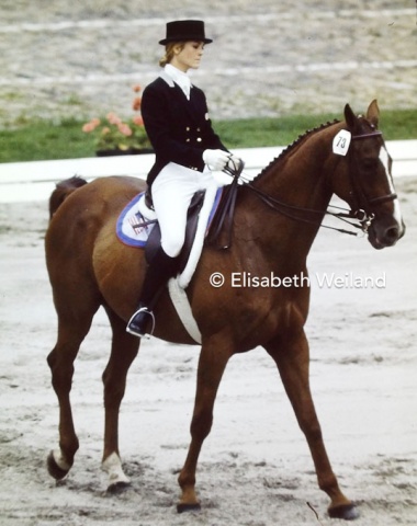 The young and inexperienced Elizabeth Lewis from the USA was the best placed of the US team. She came 15th with the 15-year-old Holsteiner mare Ludmilla.