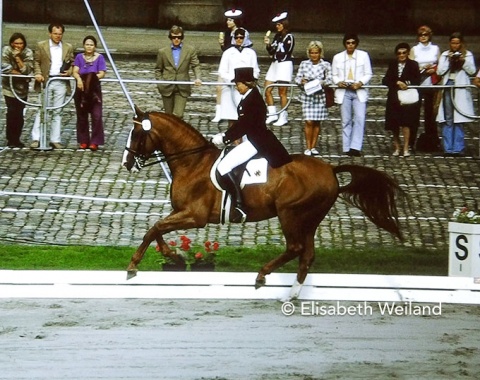 The reigning individual Olympic champions Liselott Linsenhoff and her Swedish stallion Piaff were back on form at their 2nd World championships after 1970.