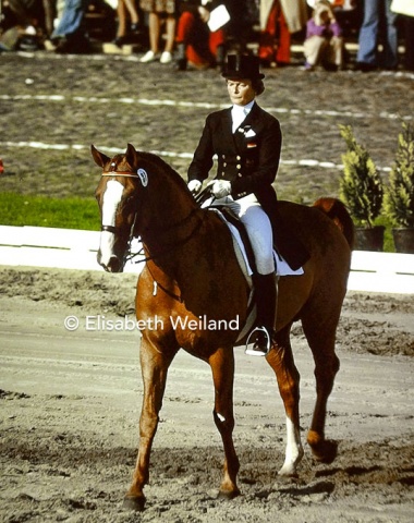 The 16-year-old Swedish stallion Piaff (by Gaspari x Ruthven) retired on a high note after a long international career, taking gold and silver at his last championships