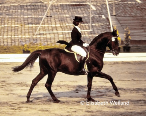 The title defenders from the 1970 World championships at Aachen, Elena Petushkova and Pepel, settled for silver (team) and bronze (individual) four years later.