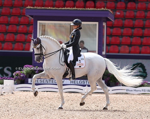 Teia Hernandez Vila on Romero de Trujillo. The horse is a World Champion of PRE breeding and now a Spanish World Championship team horse