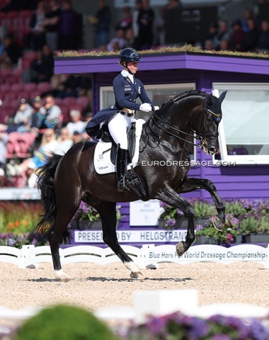 Another brilliant pair to watch: Therese Nilshagen and Dante Weltino (by Danone x Welt Hit II). The canter strike off and mistakes in the two's pushed the score down to 74.848