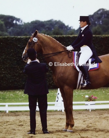 A steward checking the bit of US team rider Hilda Gurney’s thoroughbred Keen xx. The bit and noseband were checked BEFORE the riders went into the arena for the test, not after as nowadays!