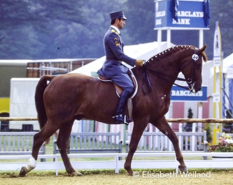 Swiss EMPFA rider Ulrich Lehmann and his Swedish bred gelding Widin showed great improvement since the 1976 Olympic Games. Both came 4th, just one single point behind Jennie Loriston-Clarke. They nonetheless took team silver.