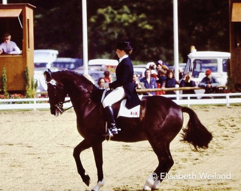 Canadian individual rider Cynthia Neale (Ishoy), who trained with Willi Schultheis in Germany for a while, convinced with the Hanoverian Martyr. She was the last to qualify for the Special and improved there to a remarkable 8th place.