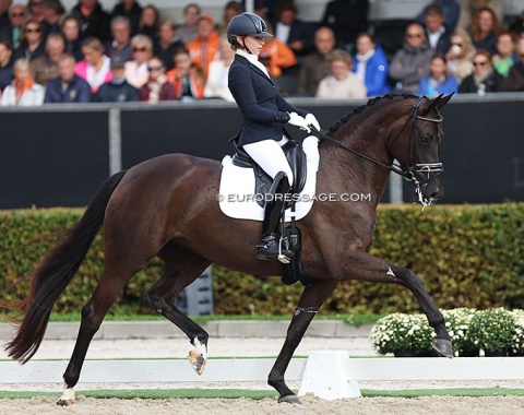 Canadian Hannah Beaulieu made a splash with her Oldenburg mare Siri (by Dante Weltino x Sandro Hit). Smashing trot but the mare was tense and distracted. Her walk was a bit underwhelming and in canter the electric atmosphere get the better of her