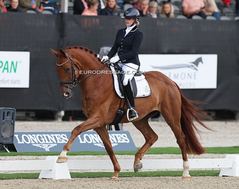 Charissa Buurmeyer on Nico Witte and Eugene Reesink's KWPN mare No Limit (by Geniaal x Florestan)