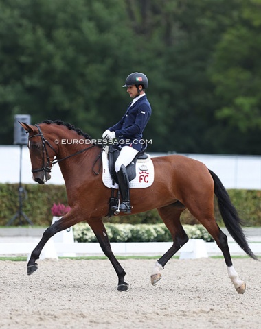 Portuguese Manuel Vacas Carvalho on the Lusitano Missanga (by Rubi x Xarope). Talented mare with a good hindleg. The pair trains with Spanish Claudio Castilla Ruiz