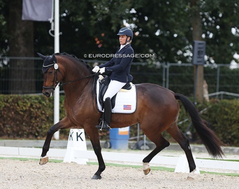 American Jennifer Hoffmann on Nasrin Mani's Hanoverian Endeavor (by Morricone x Foundation). Talented horse with good gaits but the hand aids could have been more subtle for a higher submission score