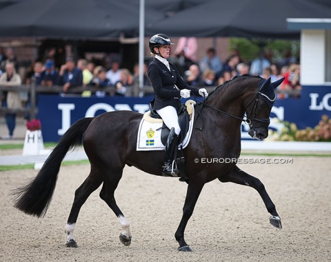 Jeanna Hogberg on BE Allex (by Ampere x Dalwhinnie)