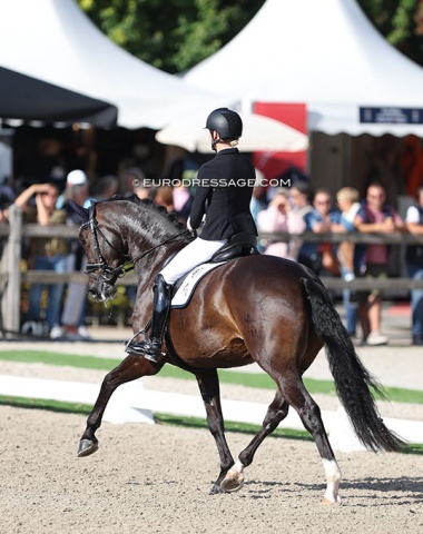 Eleventh place: German Lisa Horler on the Austrian warmblood mare Get You The Moon (by Goldberg x San Amour)