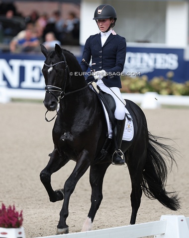 Wendy Kuiken on Stal Brouwer's KWPN stallion Nick Wimphof (by Just Wimphof x Bordeaux)