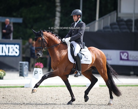 Joao Oliva on Nuelo Campline, who is the spitting image of sire Escorial. The bay is already quite produced and moved with much balance. For a Lusitano he had a good hindleg, but the judges were stingy with their points