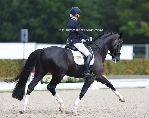 U.S. Olympian Sabine Schut-Kery on Sandy Mancini's KWPN Gorgeous Latino (by Toto Jr x Rubiquil): beautifully presented but the black was not looking the happiest today. Schut patiently steered through his grumpiness