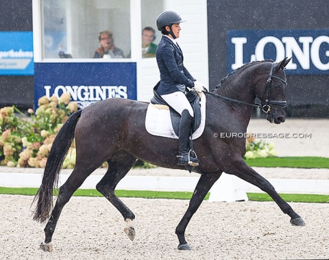 Cristina Torrent Moll on the CDE bred Dinna Marq (by Rio Marq x Sandro Hit): clean presentation