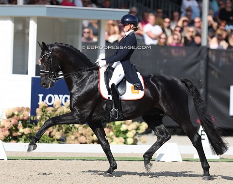 Marieke van der Putten on yet another mega talented horse owned by RS2 Dressage, Kuvasz (by Glamourdale x De Niro). He is from Glamourdale's first crop of foals and bred by De Havikerwaard