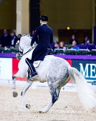 Marcus Hermes and Wilhelm Sieverding's De Massimo (by Dankeschön x Show Star). The pair was eliminated in the warm-up but recovered in the finals with an 8thplace and 71.048% score. Good quality horse but he was tense