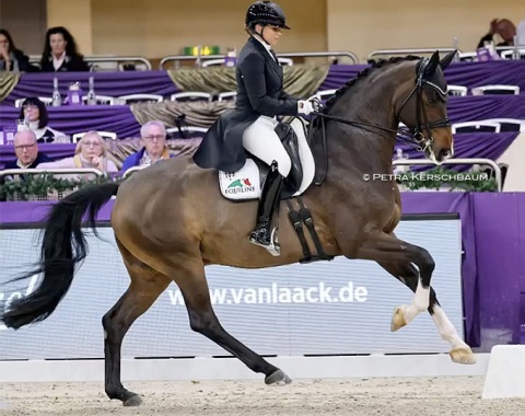 Dorothee Schneider on Astrid Neumayer's Quaterline (by Quaterback x Hotline). The 9-year old gelding was quite spooky and showed resistance in the walk pirouette. Scored 71.853% to place 7th. 