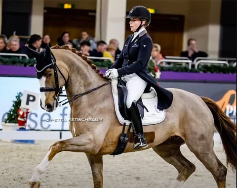 Lena Waldmann and Ilke Albers' 7-year old Scarlett O'Hara (by Scuderia x Laurentianer). The chestnut has stellar movements with the trot as highlight but was rushed too much through the programme in the finals. They scored 69.780%. 