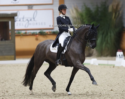 Carina Scholz on the 13-year old Oldenburg mare Soiree d'Amour (by San Amour x Latimer). The black mare has a gorgeous passage, but needs to learn to sit more in piaffe