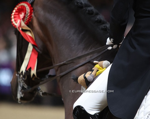 Wilberry Wonder Pony attached to Franziskus' saddle for the prize giving