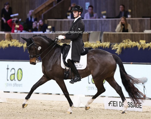 Exciting international show debut for 25-year old Belgian Cyriel de Coker on KWPN mare Jillz Urona (by Charmeur x Negro)
